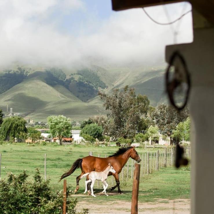 Entre Montanas Lägenhet Tafí del Valle Exteriör bild